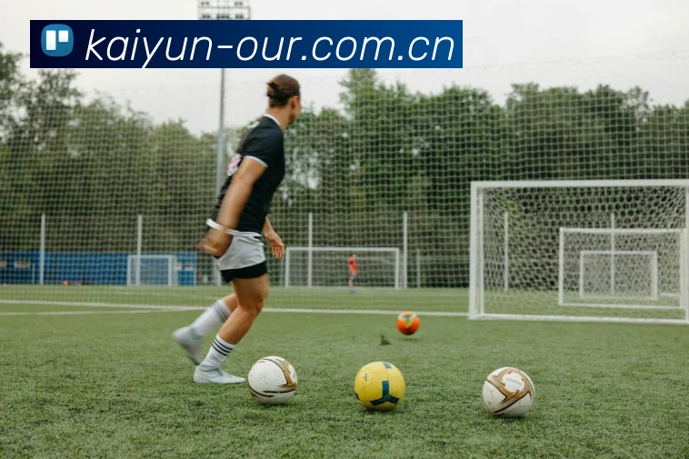 开云平台生态图